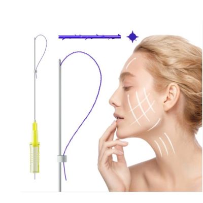 3D 4D 6D PDO Angkat Benang Injeksi Benang Hidung Facelift Mono Tornado Screw