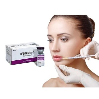 Liporase Untuk Membongkar Asam Hyaluronik Filler Dermal Hyaluronidase Solusi